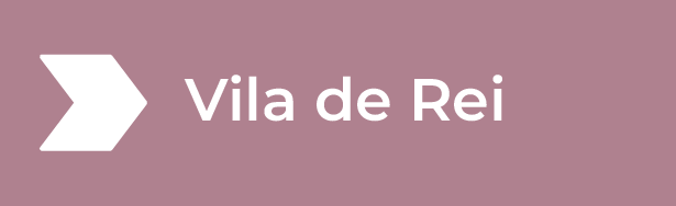 Vila de Rei