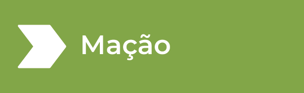 Mação