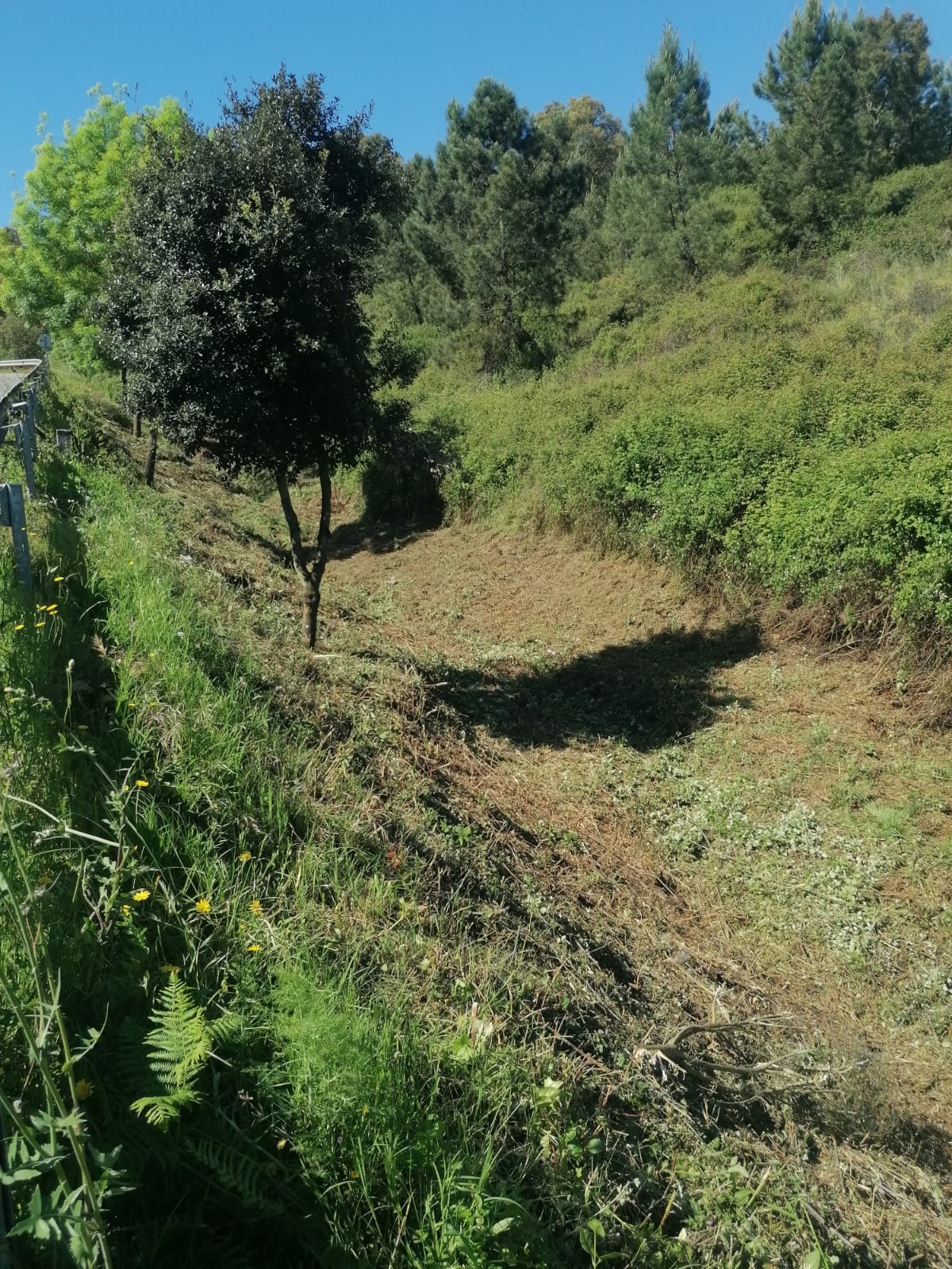 abril constancia1