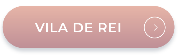 Vila de Rei