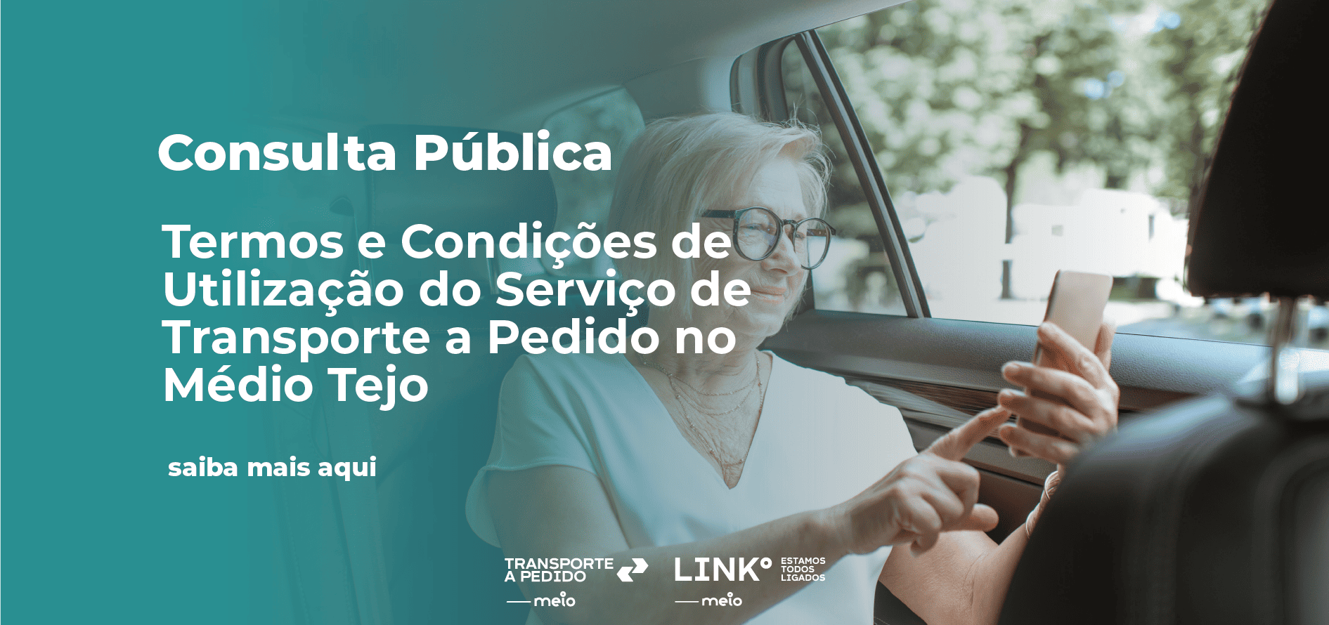 TAP_consulta publica 
